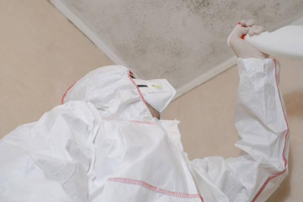 Best Mold Remediation for Healthcare Facilities  in Avis, PA